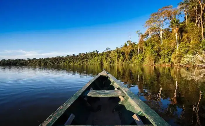 Proa de uma canoa de madeira navegando em direção à margem de floresta