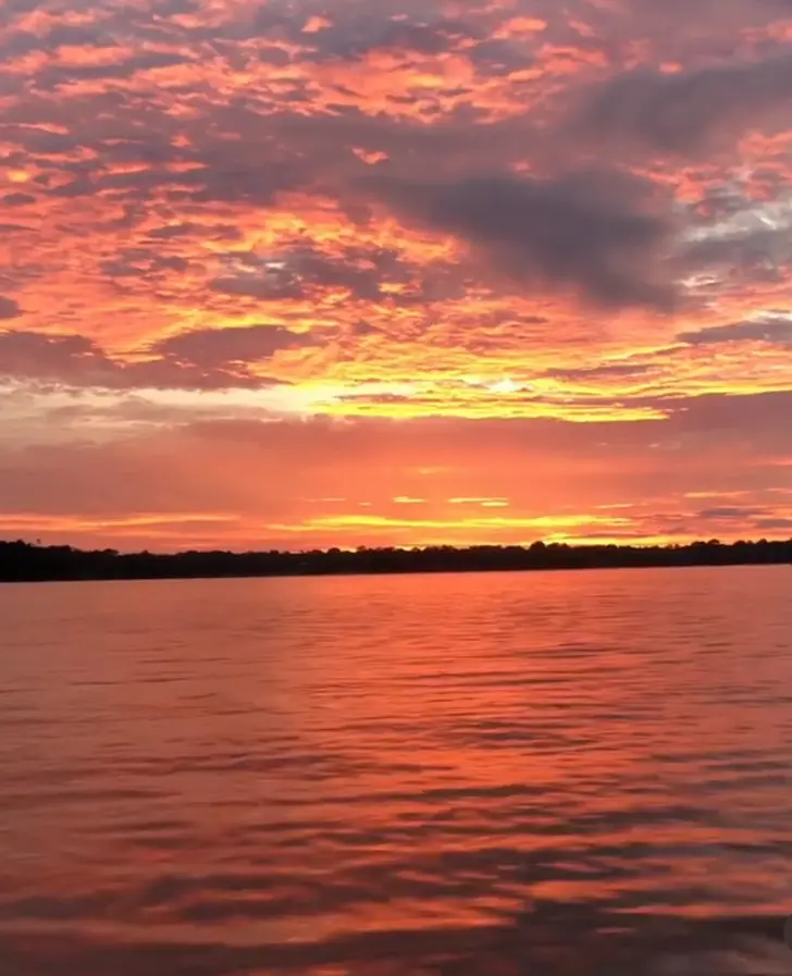 Pôr do sol alaranjado refletido no rio, com a floresta no horizonte