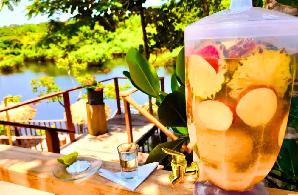 Suqueira de frutas e taça em um deque de madeira com vista para o rio