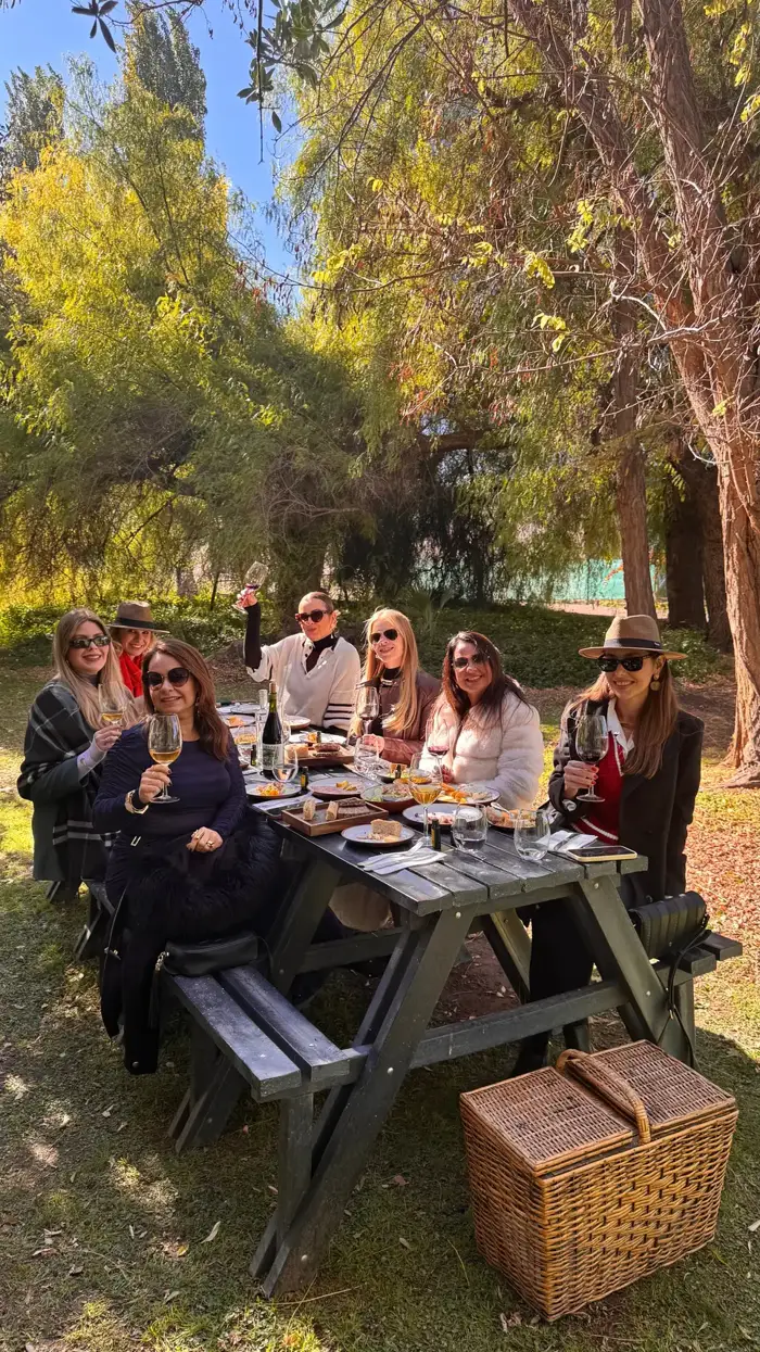 Donas brindando em um piquenique sob as árvores em Mendoza