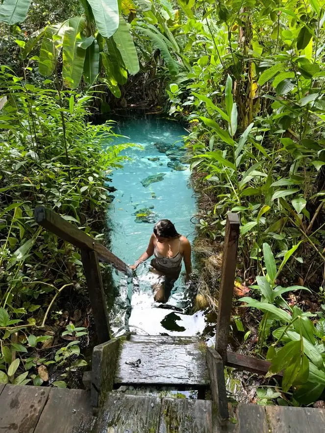 Mulher descendo uma escada de madeira para um fervedouro de água azul em meio à mata