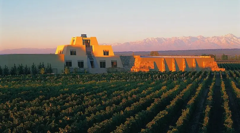 Vinícola em Mendoza ao pôr do sol, com fileiras de vinhedos e a Cordilheira ao fundo